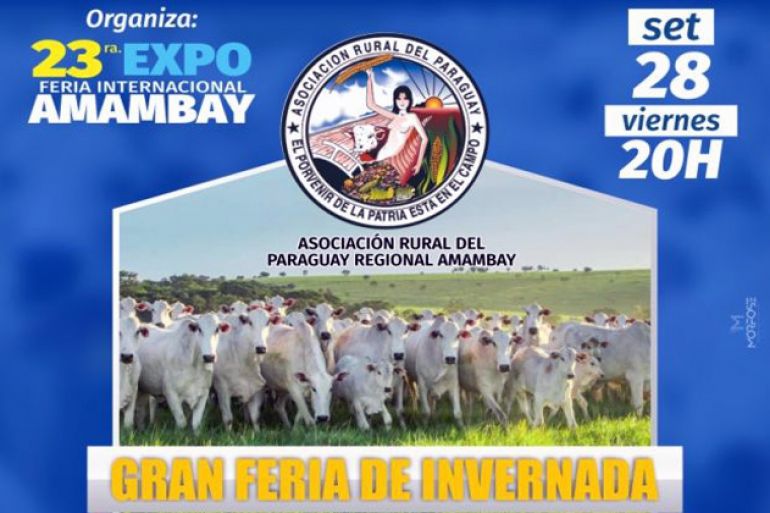 noticia