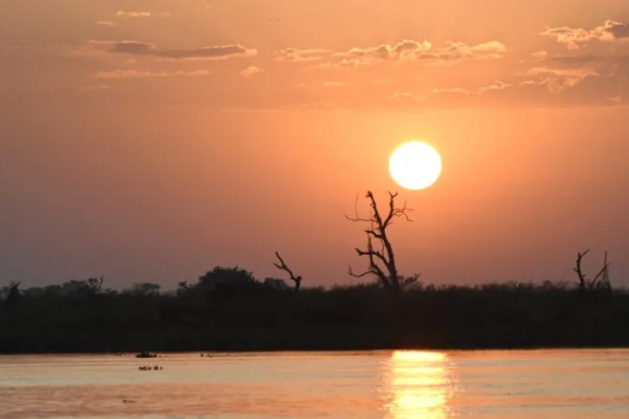 noticia