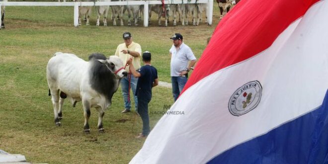 noticia