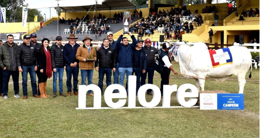 noticia