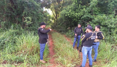 noticia