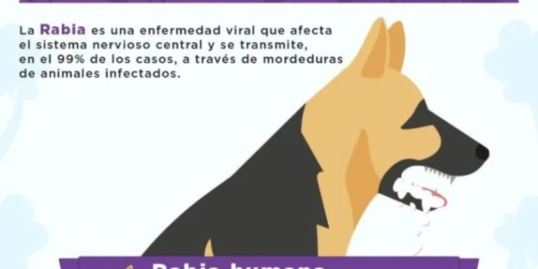 noticia