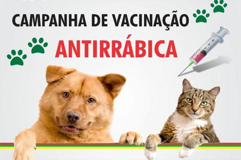 noticia