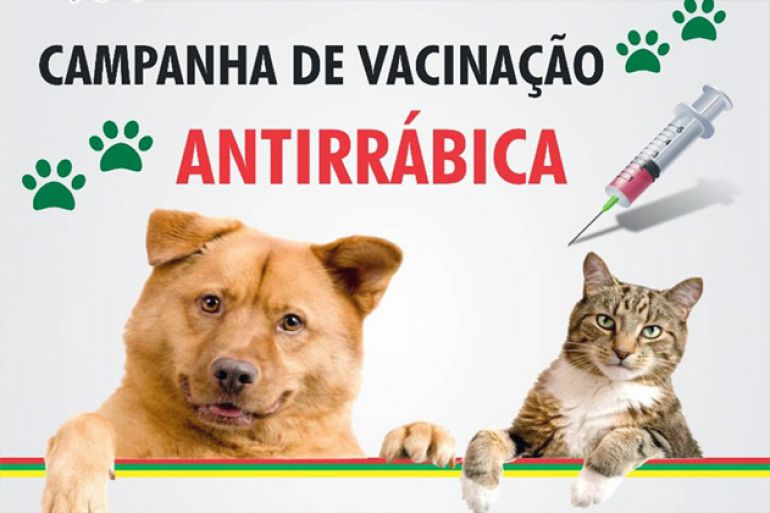 noticia