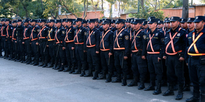 noticia