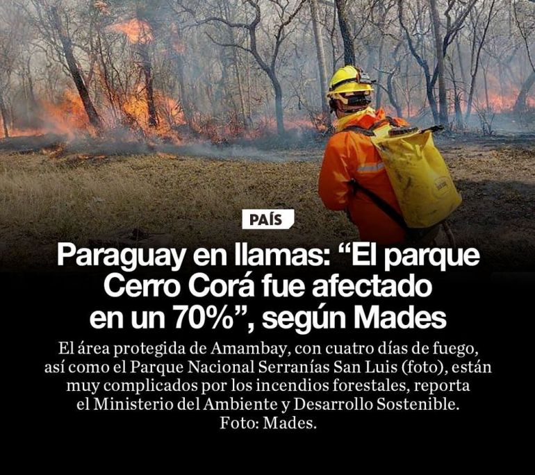 noticia