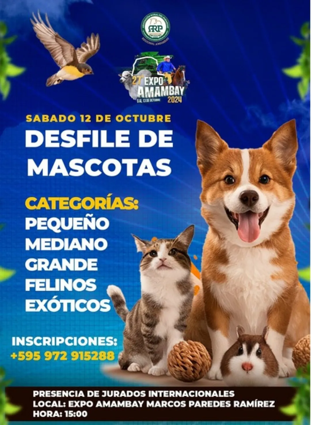 noticia
