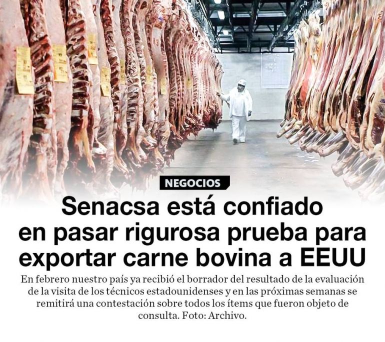 noticia