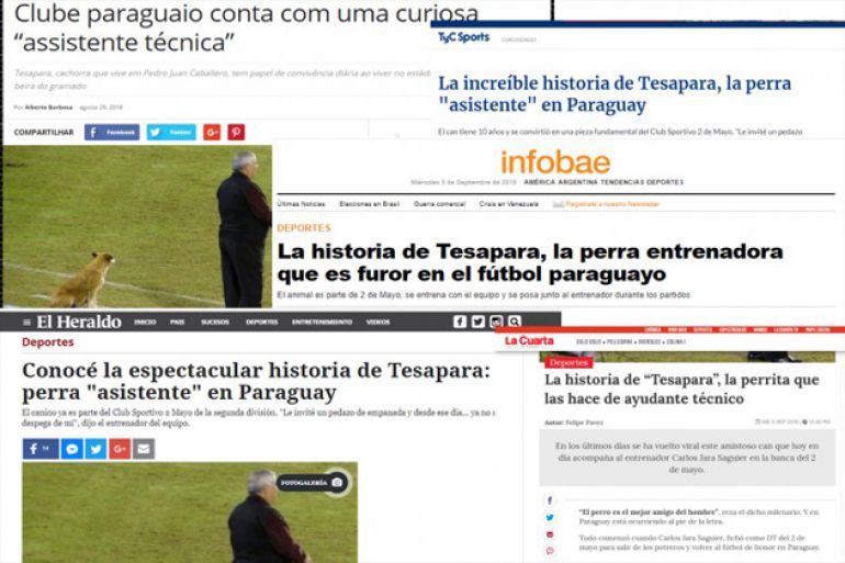 noticia
