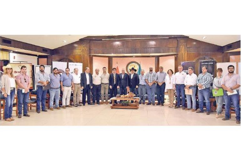 noticia