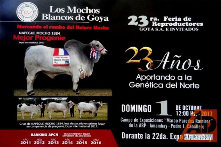 noticia