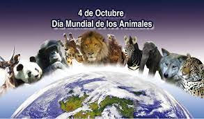 noticia