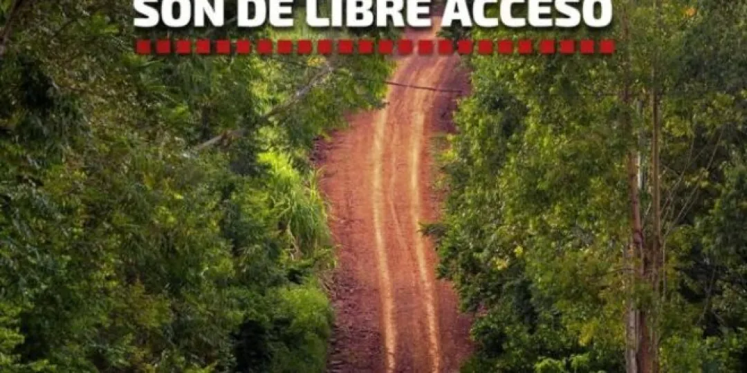 noticia