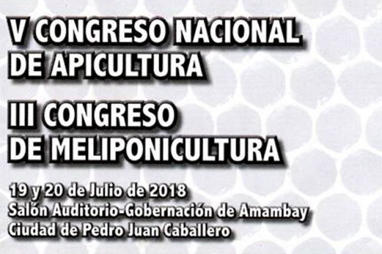 noticia