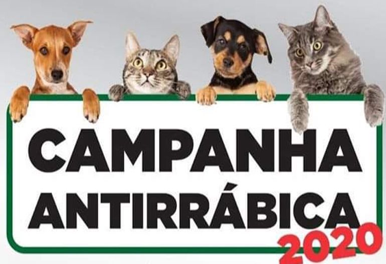 noticia
