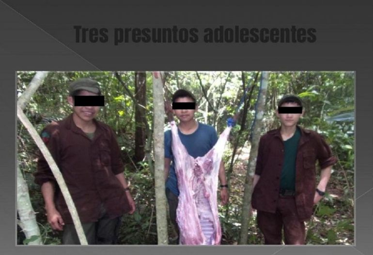 noticia