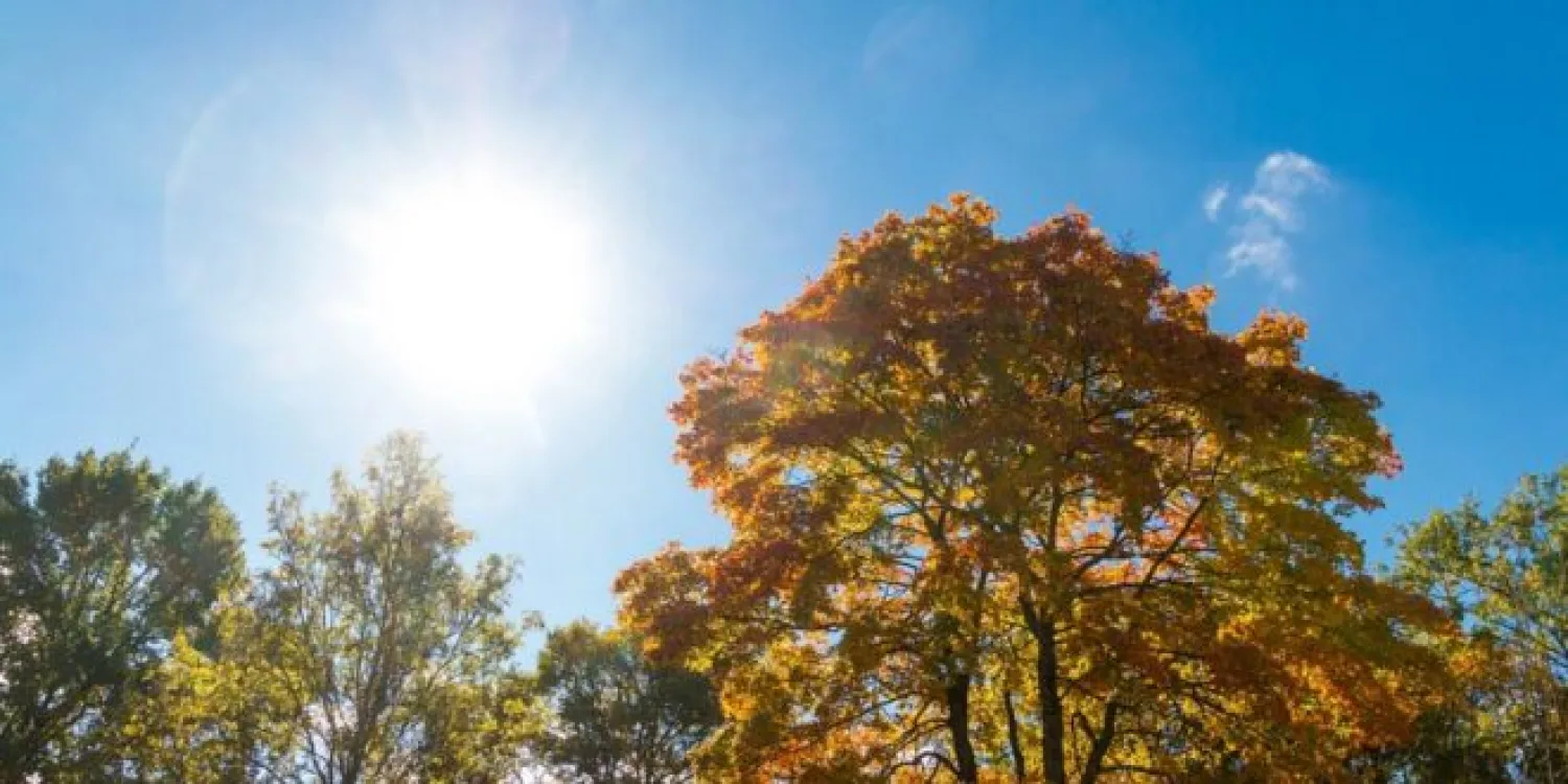 Lunes caluroso y con vientos moderados del norte, anuncia Meteorología