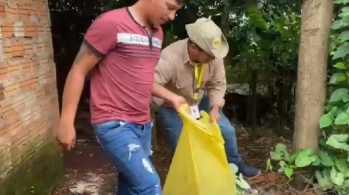 Alertan que con la llegada de El Niño pueden aumentar los casos de dengue